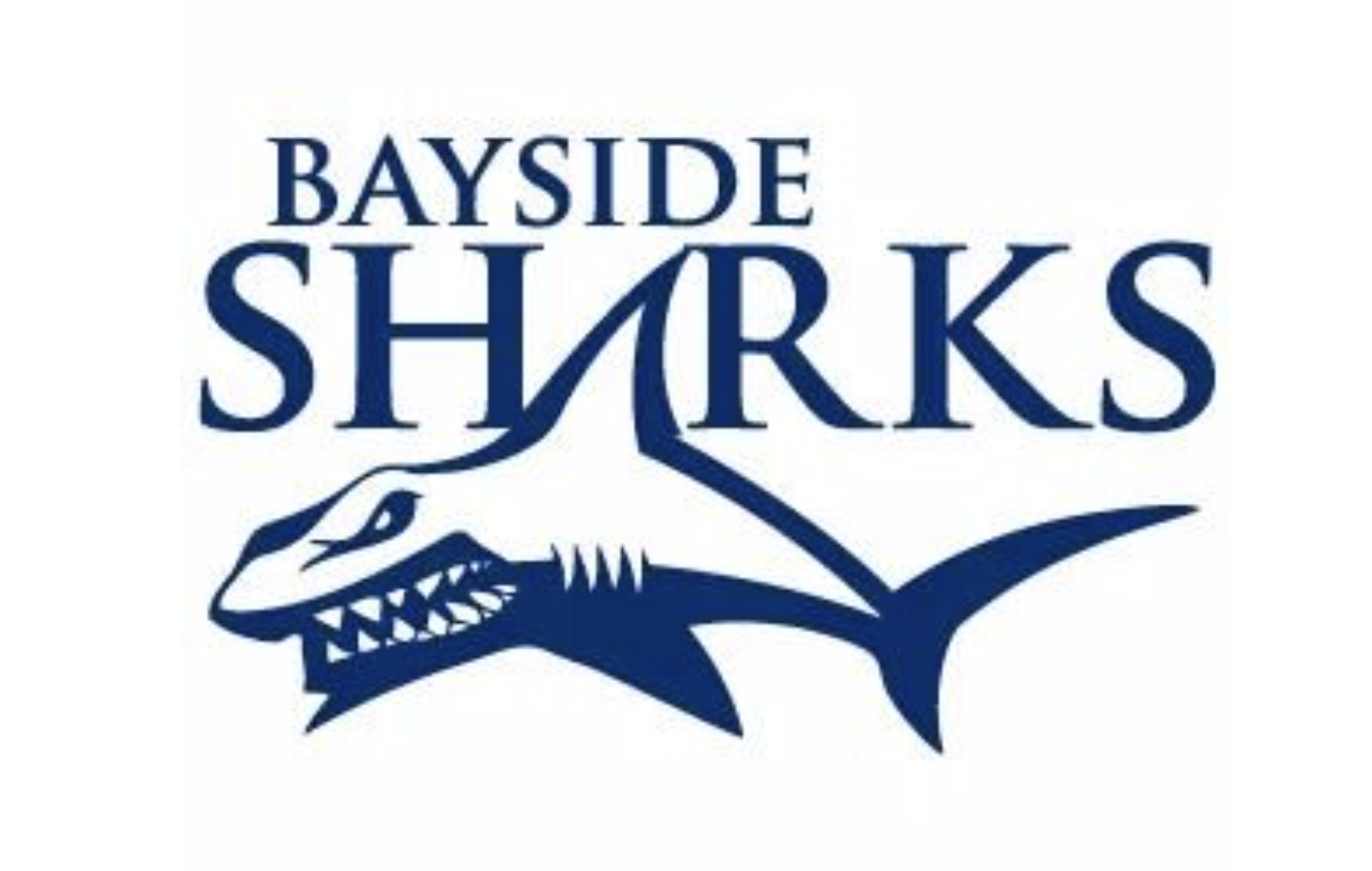 bayside sharks